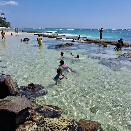 Turtle Beach تالب المظهر الخارجي الصورة