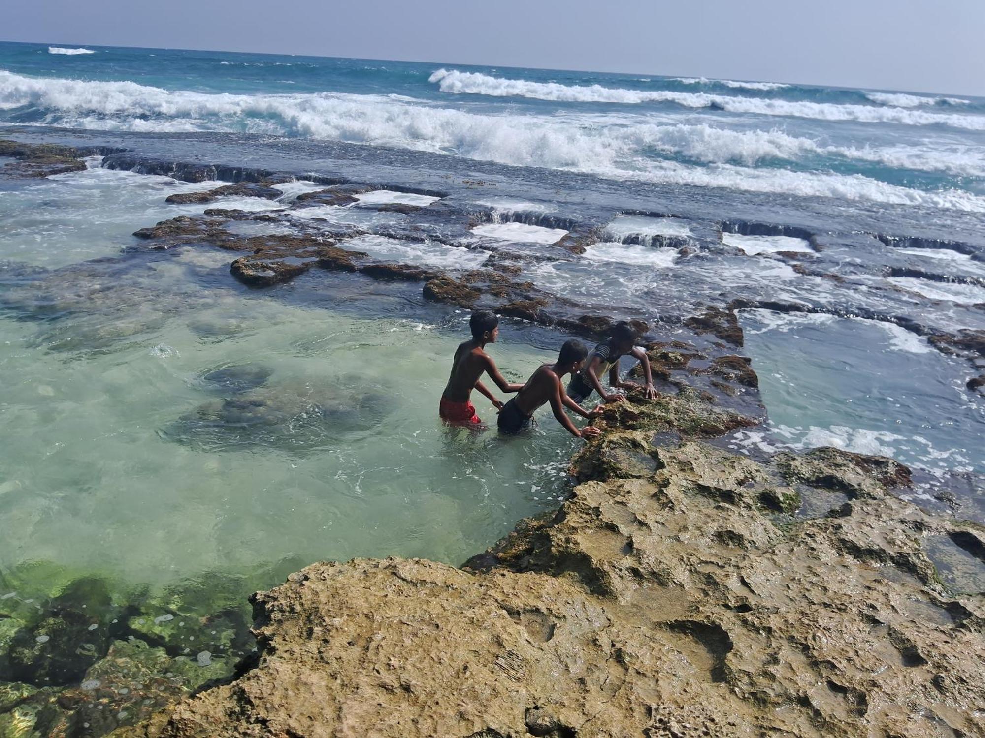 Turtle Beach تالب المظهر الخارجي الصورة
